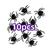 Aranha 10 unidades