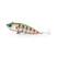 Astro minnow