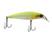 Chartreuse back ghost ayu