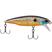 Bay hunter cor bot61