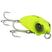 Snake cor 24