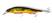 Cor 3145 gg megabass kinkuro