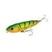 Cor 11, Fire tiger, Transparente