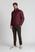 019 bordo