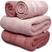 Rosa 3221/3187