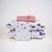 Borboleta colorida