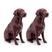 Cachorro / Vinho