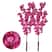 Kit Pink