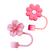 1x Rosa / 1x Cherry Rosa