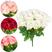 Rosas Brancas