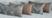 JACQUARD ARABESCO SUED BEGE