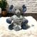 Elefante azul