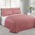 CORACAO ROSE