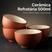 Terracota