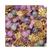 Roxo