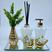 Luxo Elegance branco Dgd Vasinho Dourado