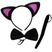 Gato Preto e Rosa