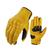 Erg, 06 amarelo
