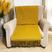 Amarelo Mostarda