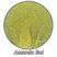 Amarelo sol
