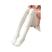 Sh3136, 1pcs, Branco