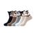 Bell dog, 5 pares