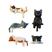 preto-5PCS G5505A