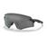 Prizm black