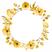 FLORAMARELA3