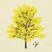 AMARELO