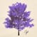 ROXO