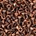 Cobre velho