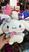 Cinnamoroll