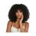 WIG-T009B