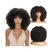 WIG-T009A