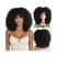 WIG-T009B