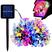 Flores RGB