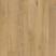 Essencial Oak