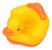 Pato