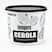 Cebola