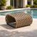 Rami