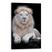 Borda Infinita