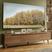Rustic