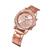 Ouro rosa sem caixa