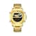 9163 Ouro completo