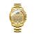B4833 Ouro