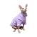 roxo