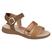 Avela, Bonze, Camel