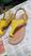 Amarelo