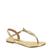 Dourado